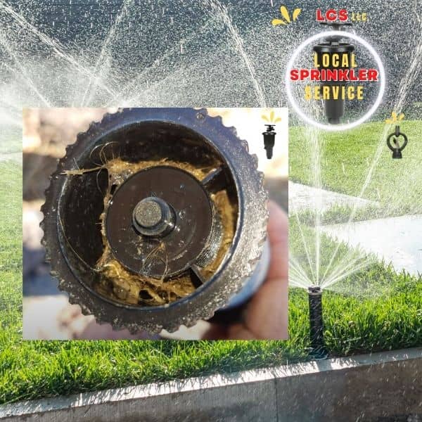 Rotors and Spray Heads